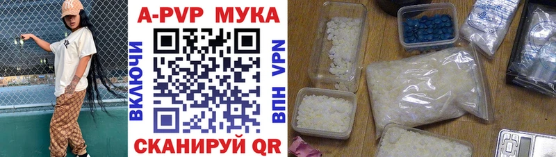 Где купить Кадников omg ссылки Бошки Шишки Галлюциногенные грибы Меф мяу мяу СК ГАШ