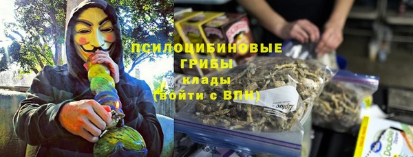 стаф Майский